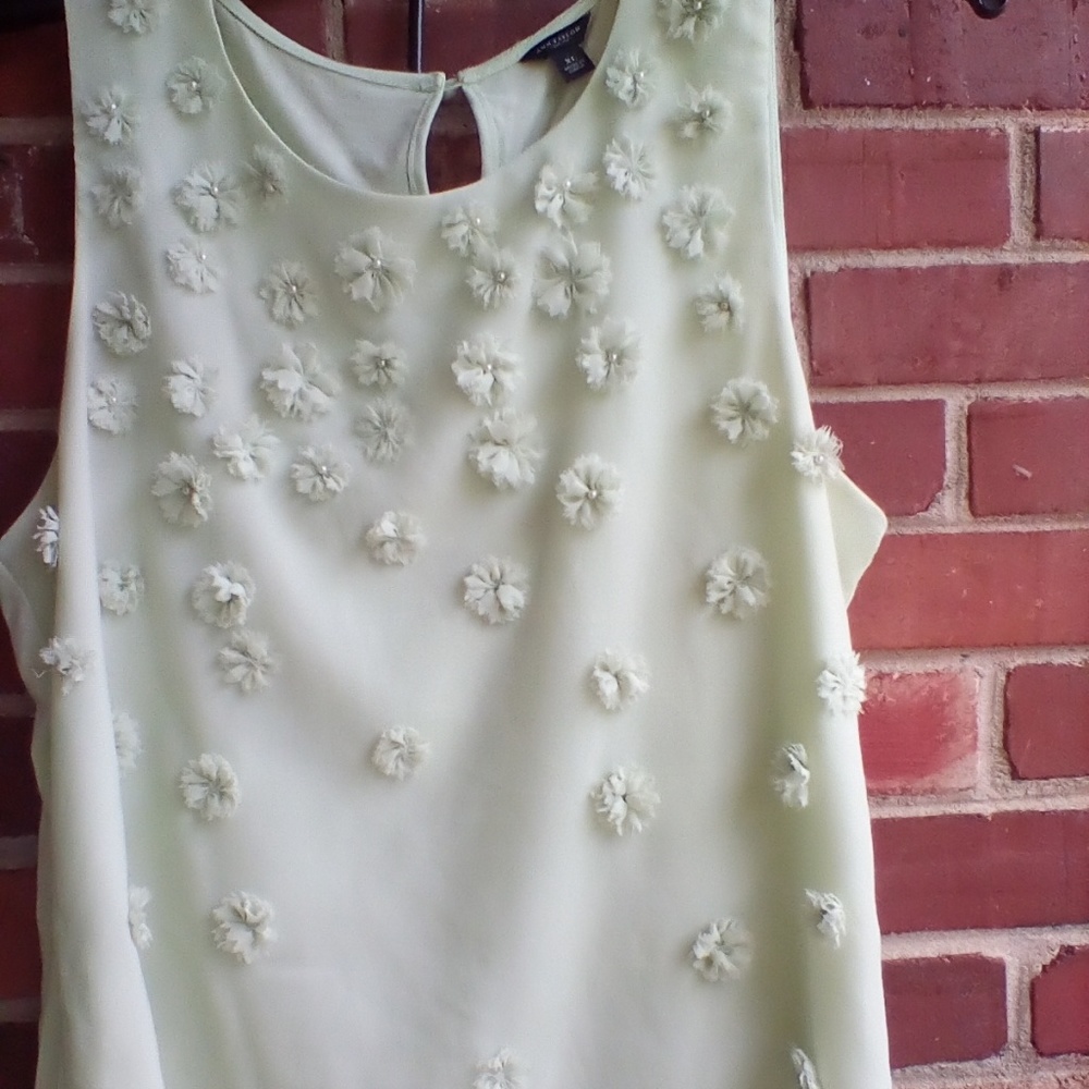 Ann Taylor  XL